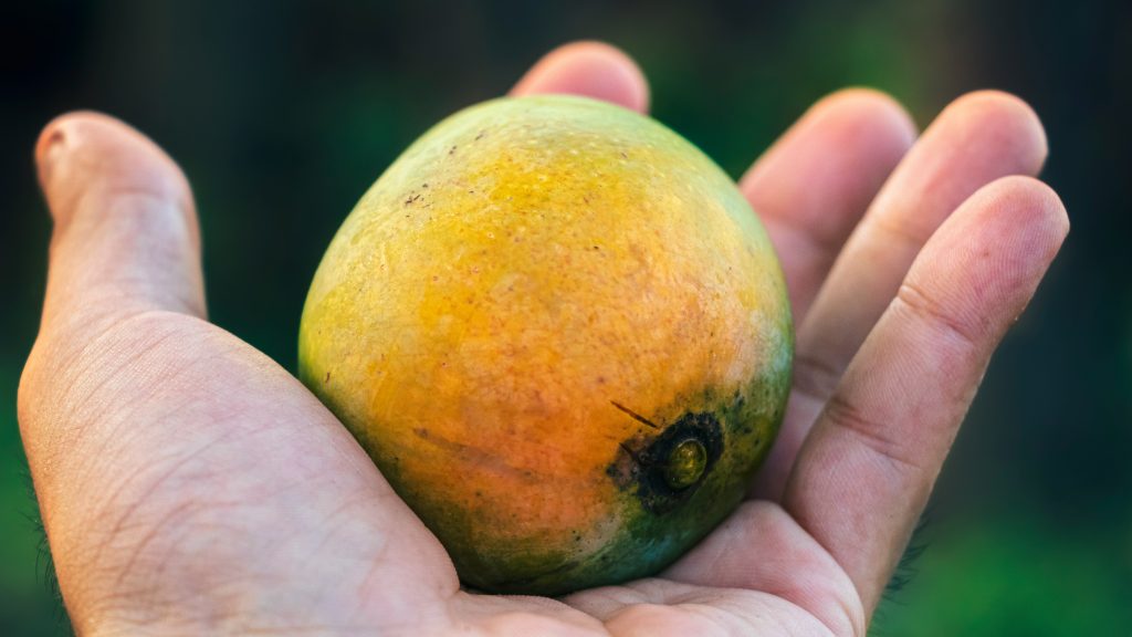 Beneficiile mango pentru sănătate