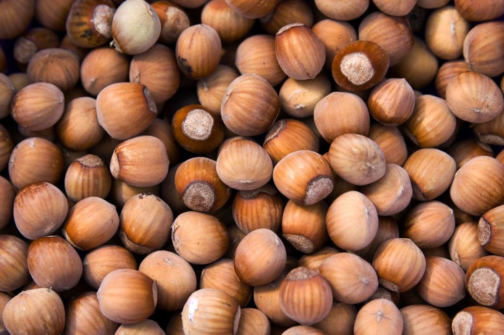 10 beneficii ale alunelor de pădure pentru sănătate