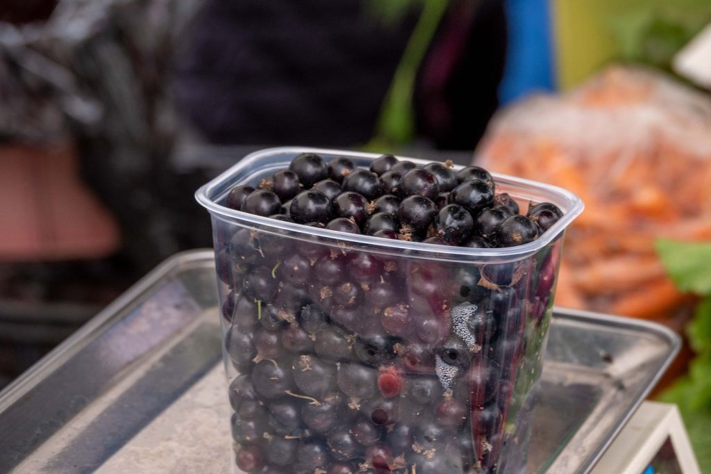 10 beneficii ale coacăzelor negre pentru sănătate