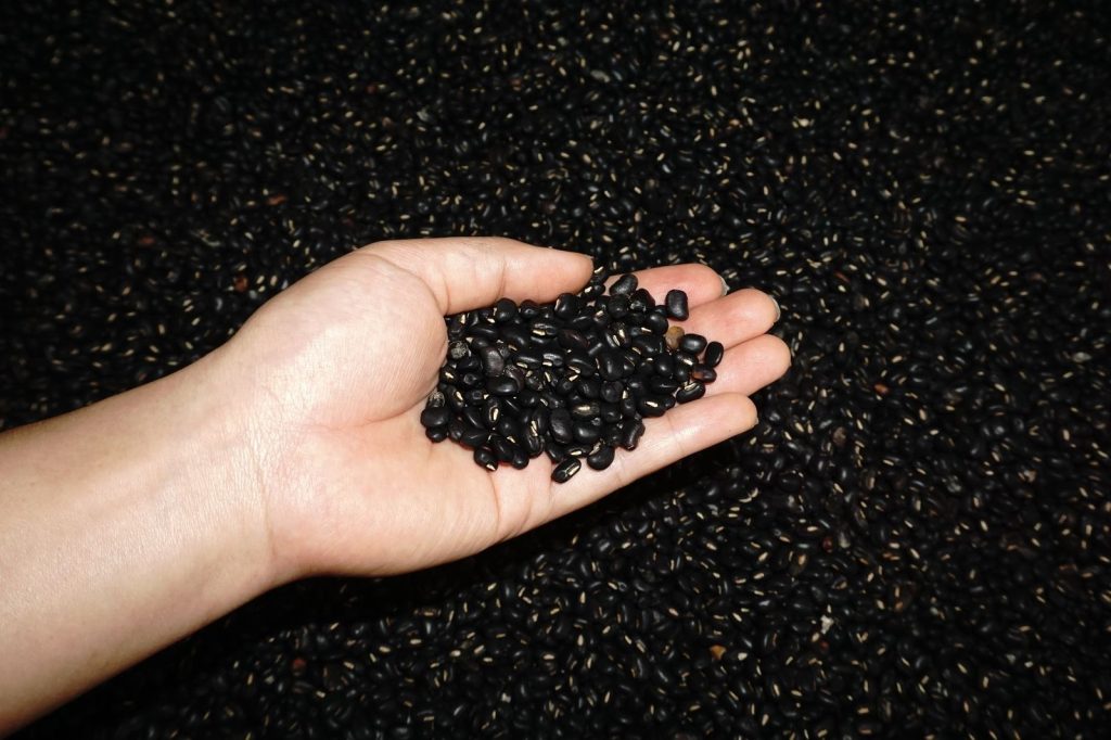 10 beneficii ale fasolei negre pentru sănătate