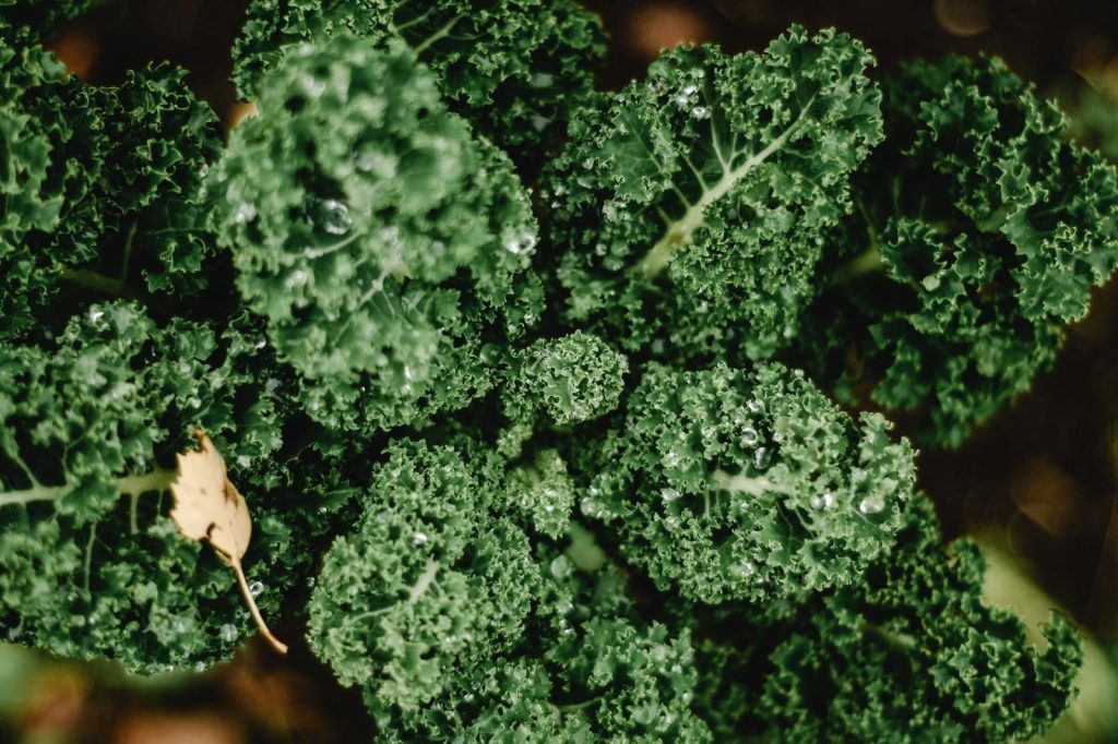 10 beneficii ale kale pentru sănătate