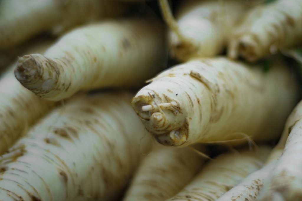 10 beneficii ale păstârnacului pentru sănătate